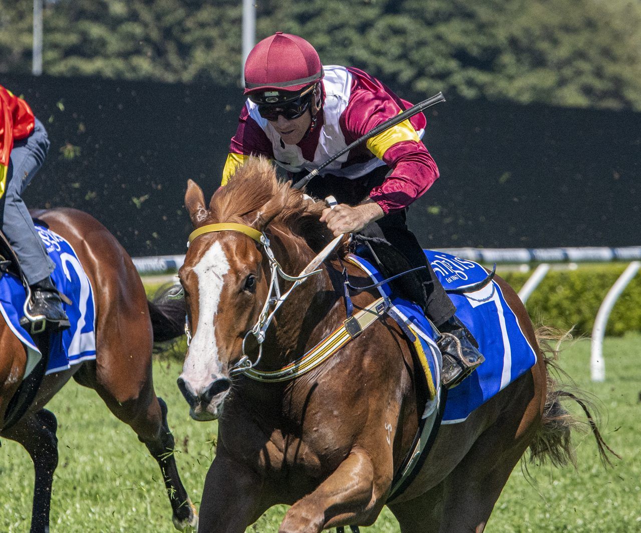 Photo Gallery - Curtis Racing Stables