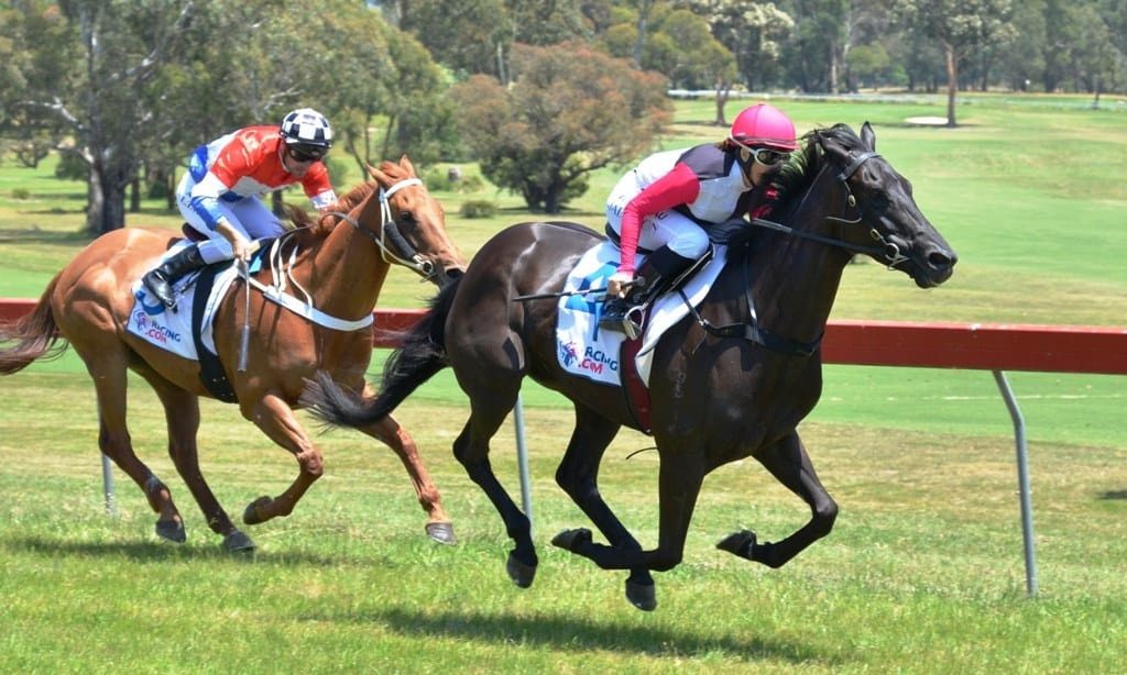 Maiden win a Christmas gift for Molly Dook