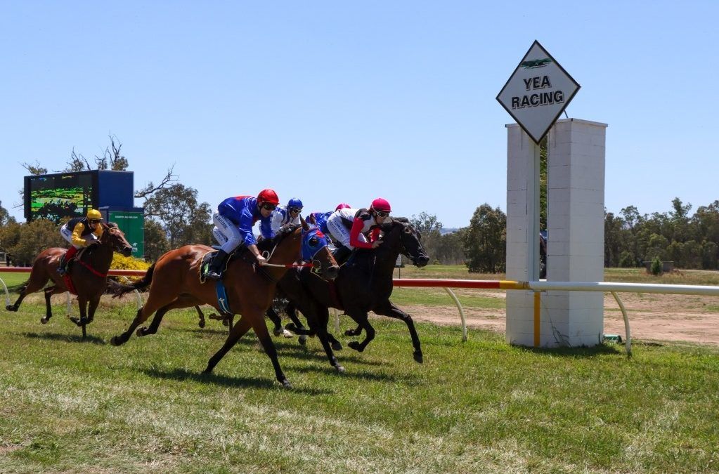 Molly and Maddie get the Judges nod