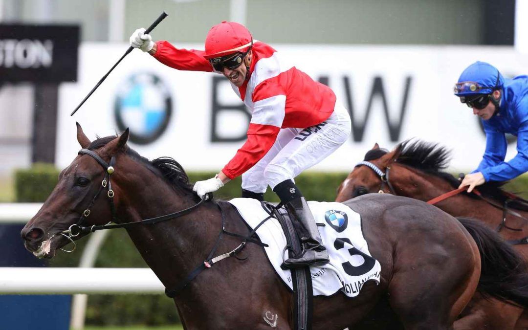 Highview’s Mongolian Khan draft impress at Karaka