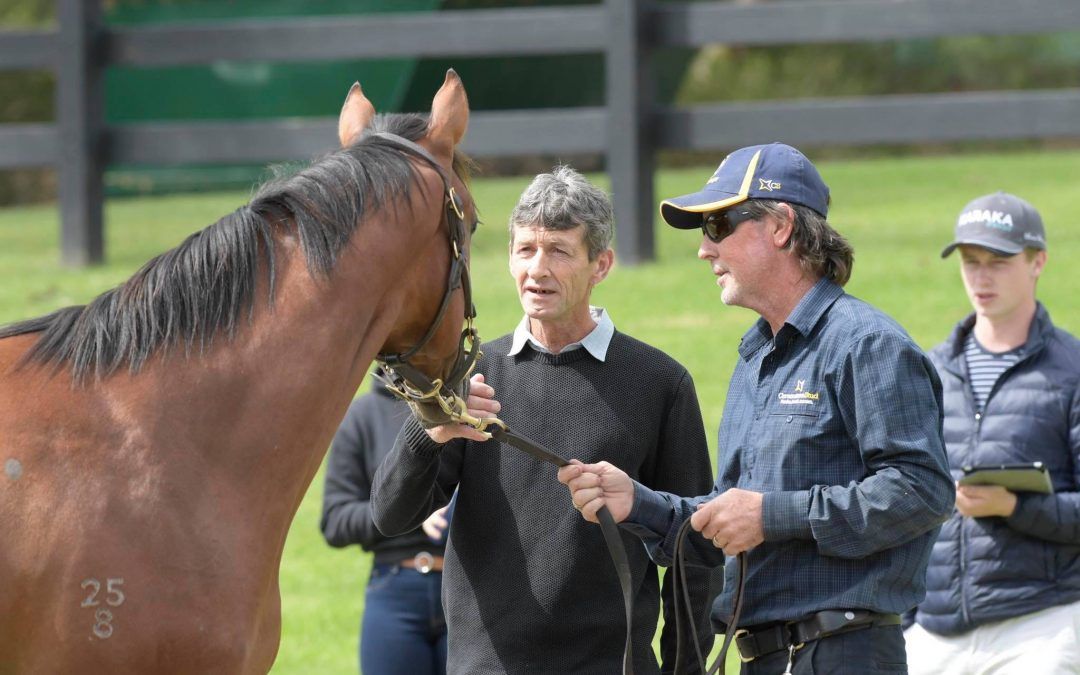 Inglis Premier delivers three quality colts