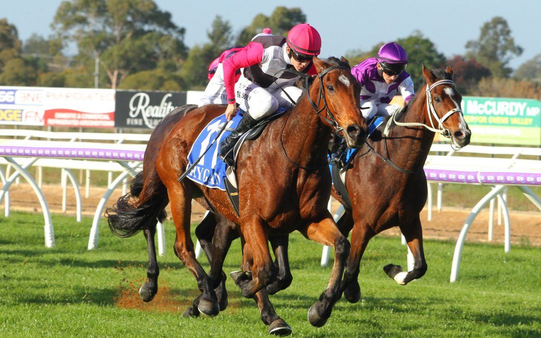 Reggae, Roc’s their socks off