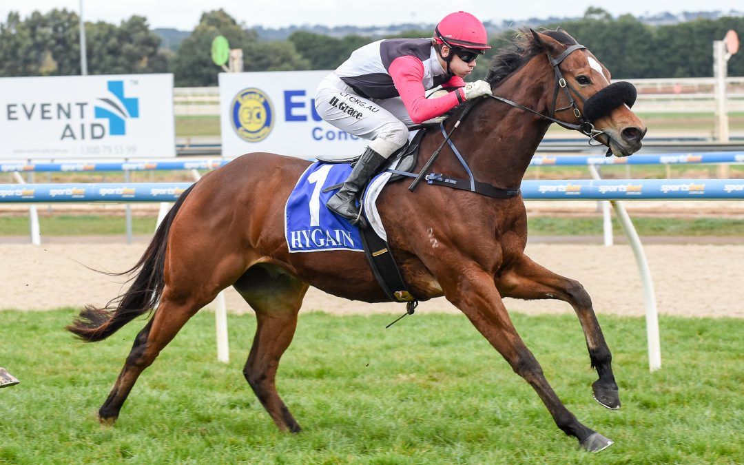 Gibbon gets monkey off the back