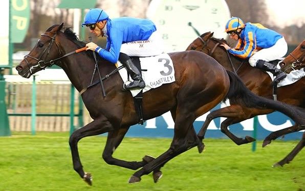 Mangalore Park join forces with Aquis to stand Royal Meeting