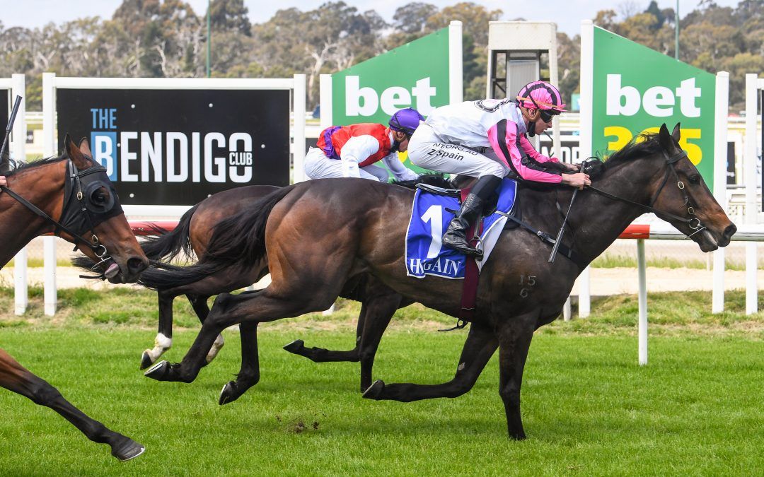 Borondino gets off to a Dream start