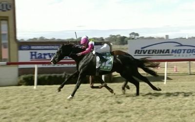 Fighting Fioroso fires at Wagga