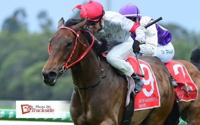 Zhunag Shi Leads to Secure Maiden Victory