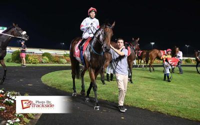 Zhuang Shi returns a winner on Sunny Coast