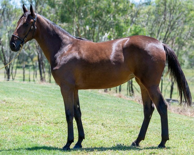 1641729254Lot 31 Always B Miki - Im Sugar Coated_DSE_5841.NEF