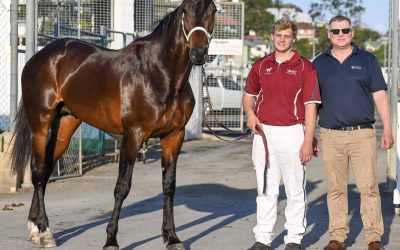 Horse tales: High hopes for BORELLA