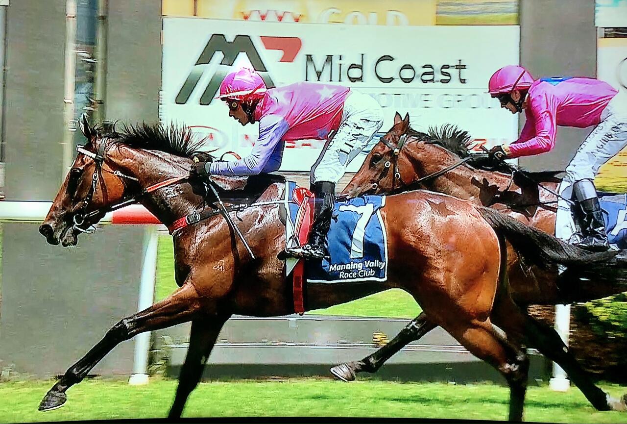 Linguee Wins at Just 2nd Race Start! - Kim Waugh Racing Stables