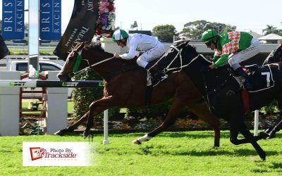 The Winners Are Stacking Up For Laming Racing