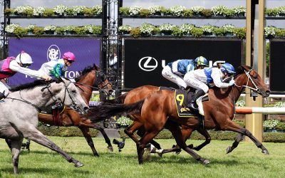 Laming Racing The Month Of February – Winners In Review.