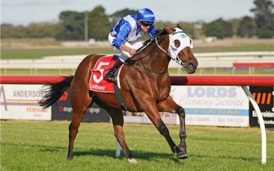 The Laming Yard Continues To Dish Out Winners Through Tough Times