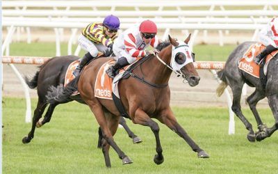 Laming Racing Chalk Up More Winners Throughout The Month Of June