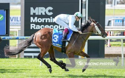 Impressive debut by IAMABADGUY