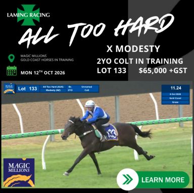 All Too Hard - Modesty