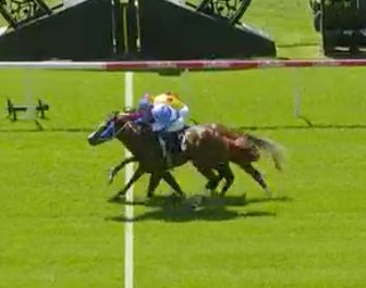 3YO MURKADO DELIVERS A METRO VICTORY