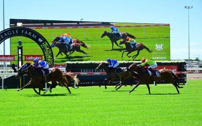 3YO MURKADO DELIVERS A METRO VICTORY