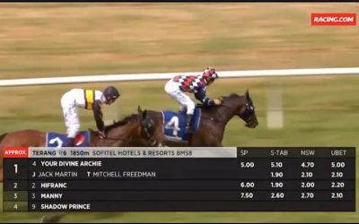 Your Divine Archie Makes It 2 Wins From Last 3 Starts At Terang