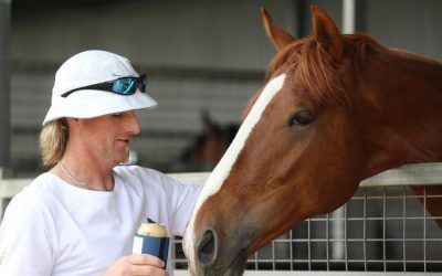 More Photos from the Stable Open Day