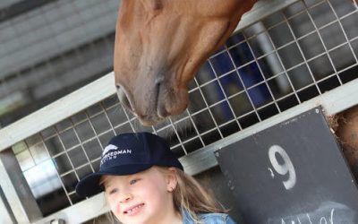 Annual Stable Open Day