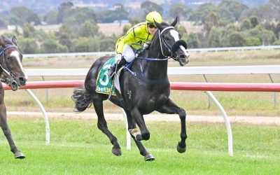 Adandiman qualifies for Country Trainers Series Final