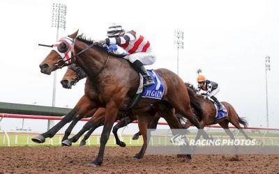 Pakenham Polytrack Success for Broadway Lane