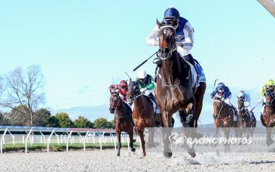 Patience Personified for Birthday Suit’s connections