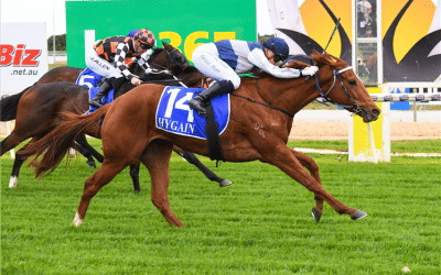 Vagrant becomes Pariah’s third Stakes Performer