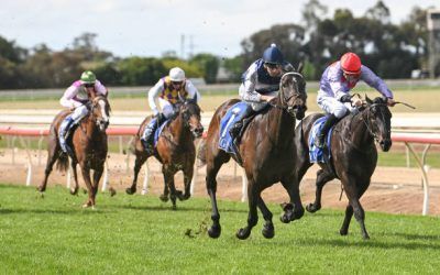 Hang On Harvey an impressive winner on debut