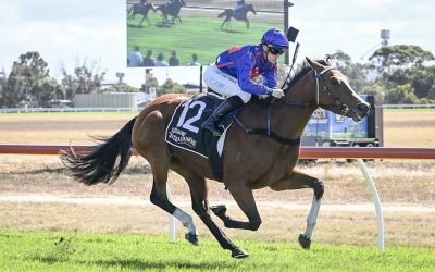 Unthinkable too smart at Warracknabeal