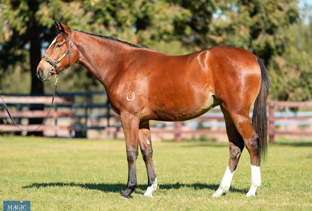 Puissance De Lune X Teodora