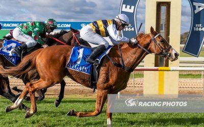 Guido Goes clear at Echuca
