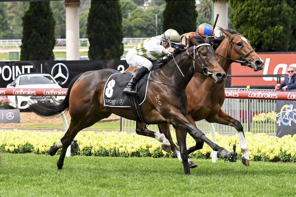 Skybird wins Group 2 Tobin Bronze Stakes - Mitch Freedman Racing