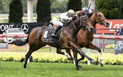 Group 2 Fillies Classic Win For Skybird