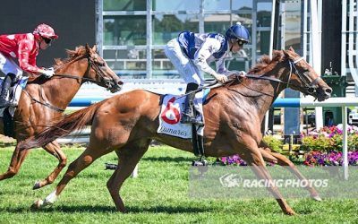 Stakes Success For Vagrant