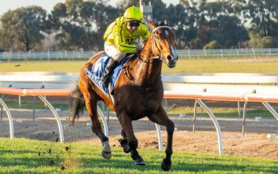 Samurai Star Cuts Through At Echuca