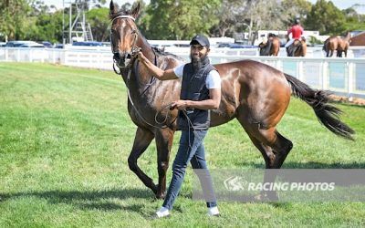 Docinthe Brings Up Terang Double