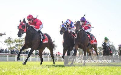 Adjudicate Freedman’s 30th Winner For The Season