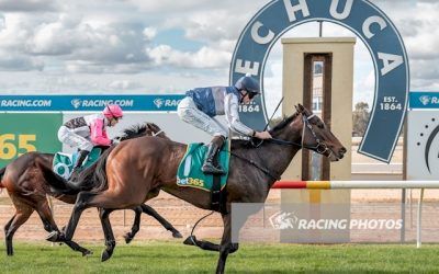 Les Garcons Wins On Debut