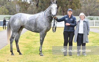 Arc De Puissance’s Barnstorming Finish