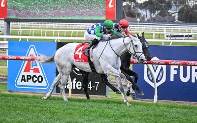 Boga Legend Bounces Back