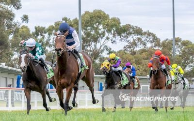 Yoomee Wonder Swan Hill Carnival Winner