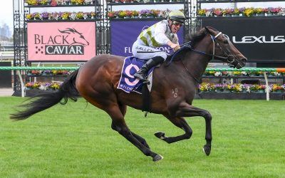 Straight shooting spring for Skybird
