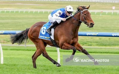 Jennyanydots Takes The Shortest Way Home