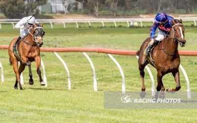 Impressive Stable Debut for Oraqua