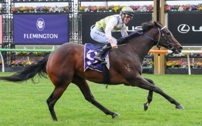 Skybird flies into Everest contention