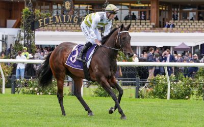 Skybird confirmed for $20m The Everest